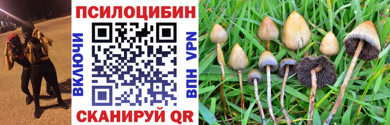 продажа наркотиков  Калуга  MEGA ссылка  Галлюциногенные грибы прущие грибы 